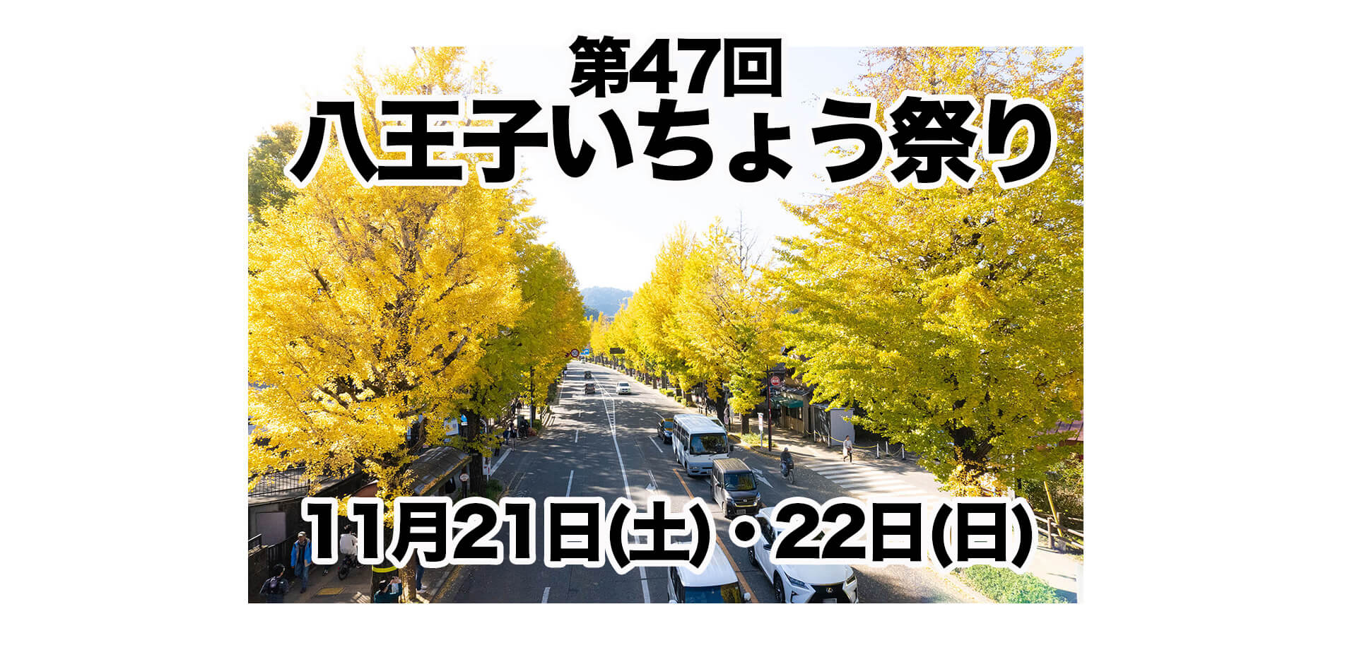 47回八王子いちょう祭り バナー