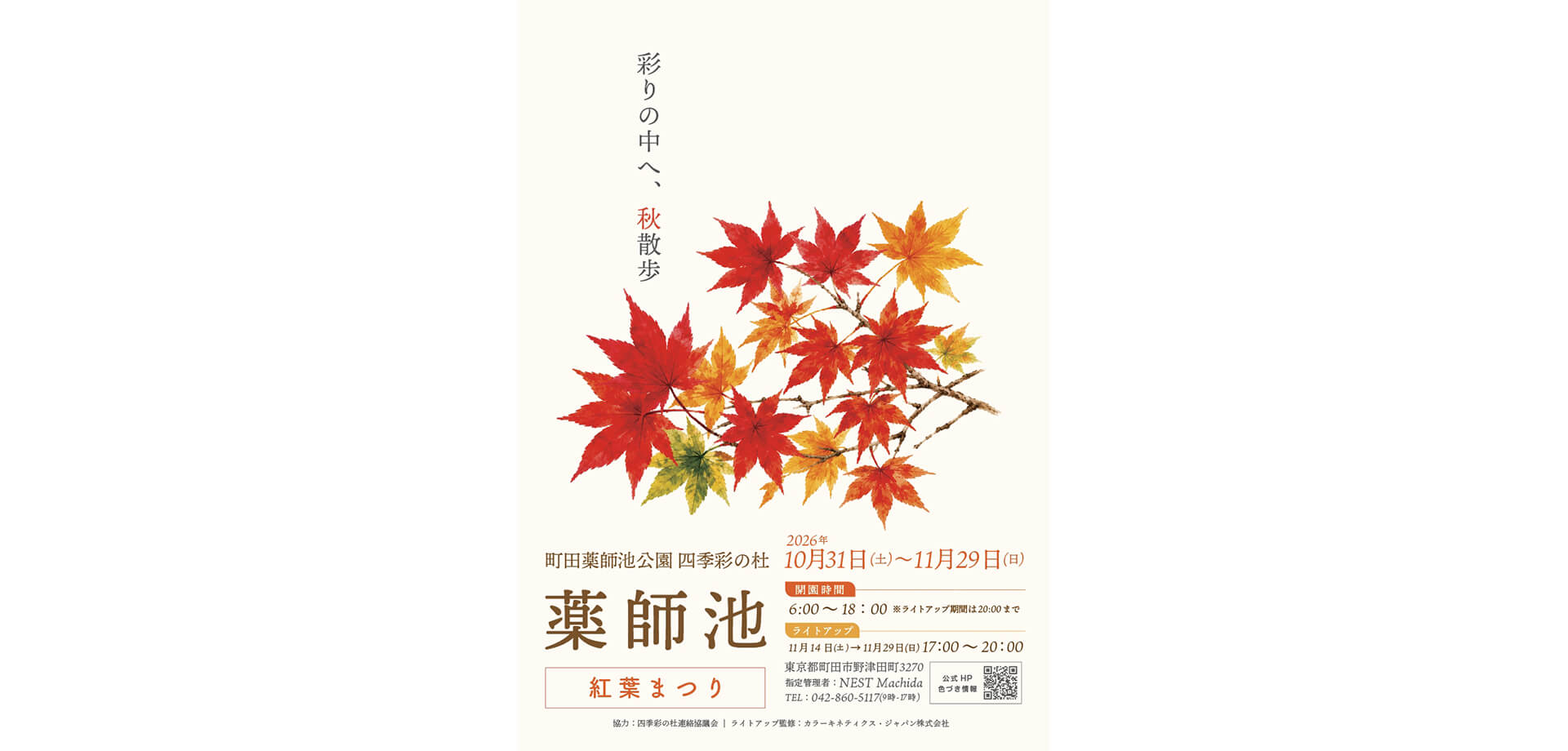 薬師池 紅葉まつり 告知チラシ