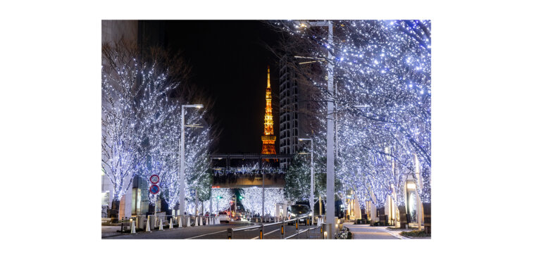 ROPPONGI HILLS CHRISTMAS 2026 東京タワーとイルミ