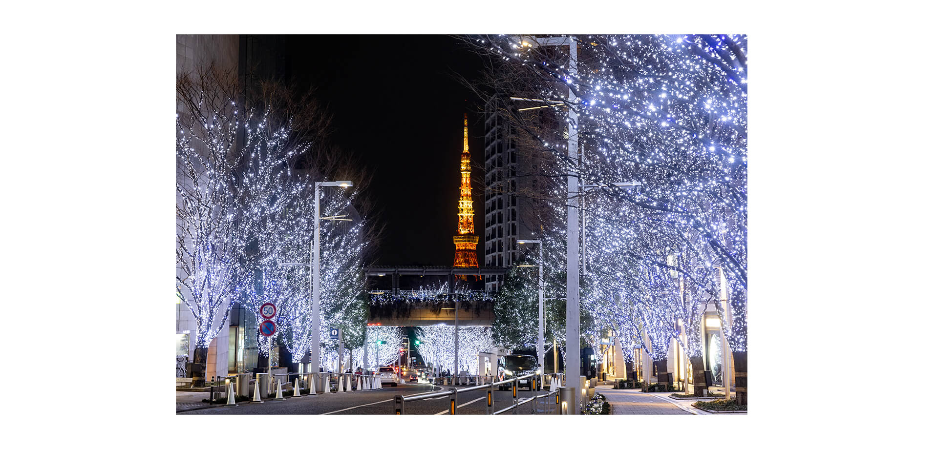 ROPPONGI HILLS CHRISTMAS 2026 東京タワーとイルミ