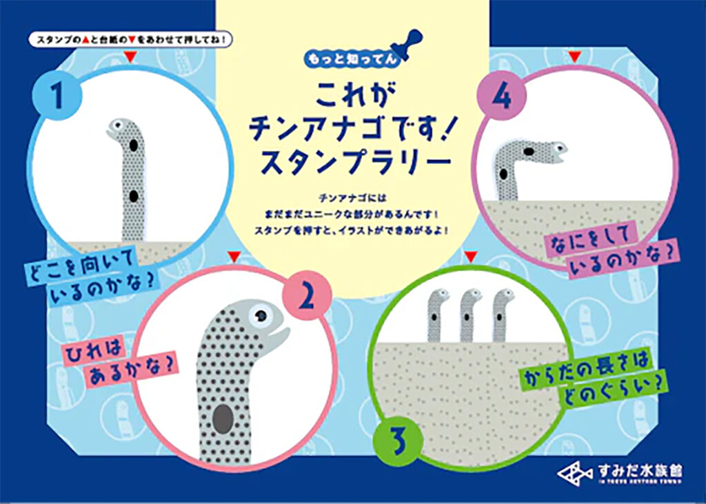 ※チンアナゴではありま展 スタンプラリー