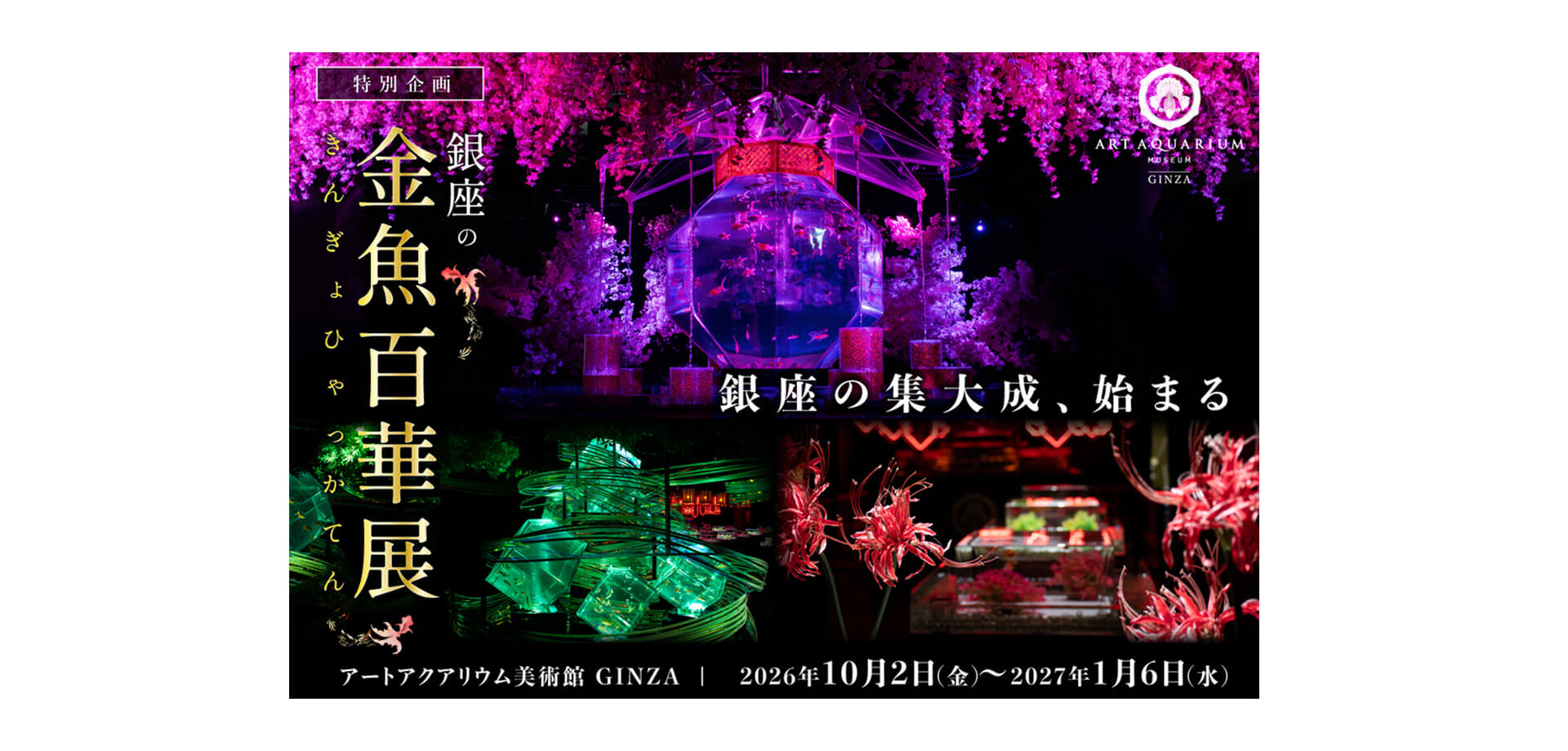 アートアクアリウム美術館 GINZA　銀座の金魚百華展 メインビジュアル