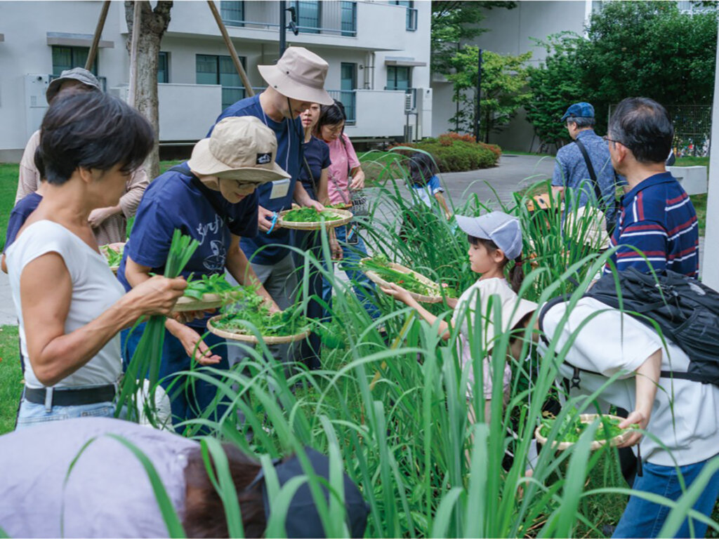 野菜を収穫する親子