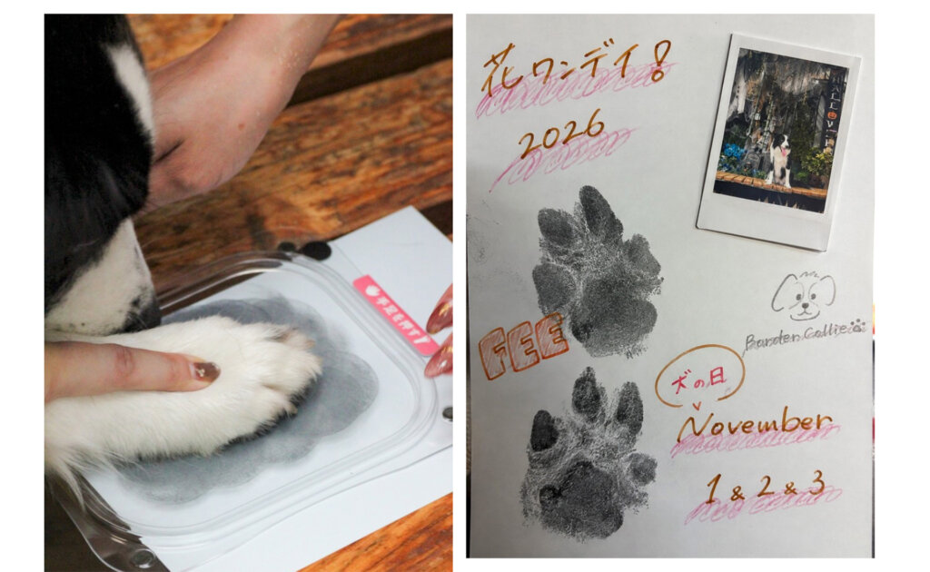 肉球版をとる犬
