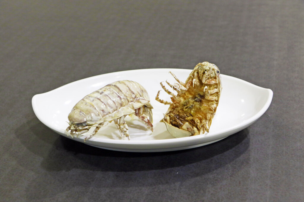 グソクムシ 姿揚げ