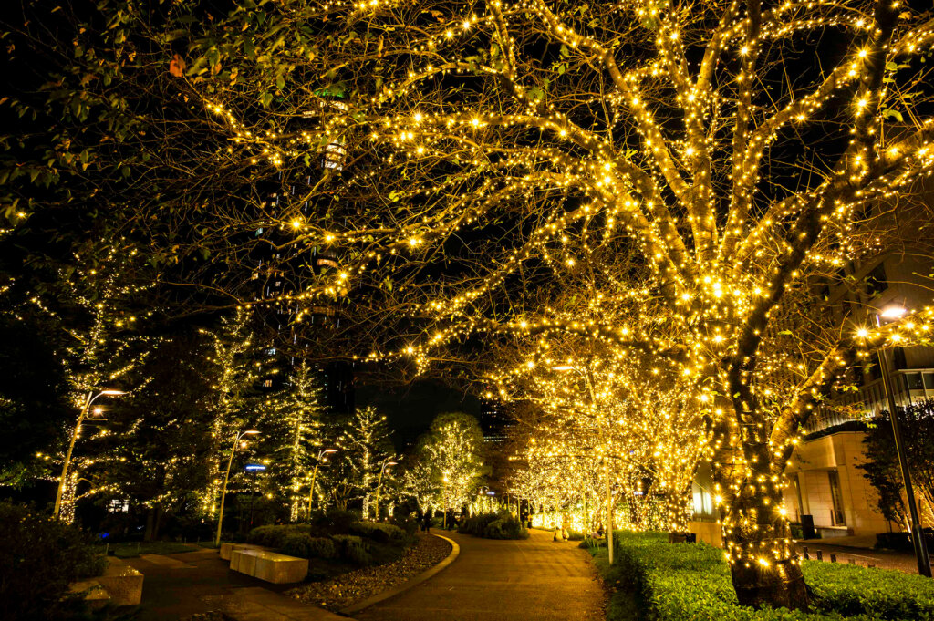 MIDTOWN CHRISTMAS 2026　ゴールドのライティングをした並木