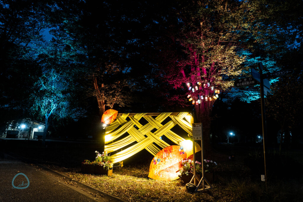 花と光のムーブメント 小金井公園~秋彩ものがたり~ 会場風景
