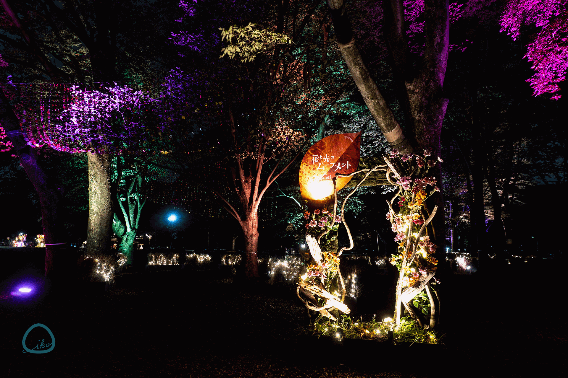 花と光のムーブメント 小金井公園~秋彩ものがたり~ 会場風景
