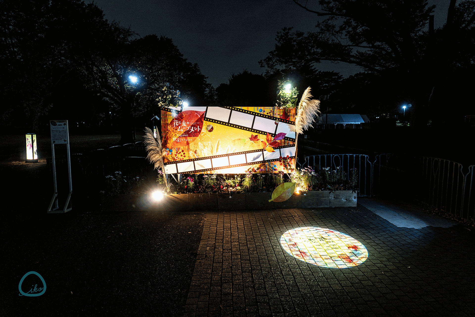 花と光のムーブメント 小金井公園~秋彩ものがたり~ 会場風景