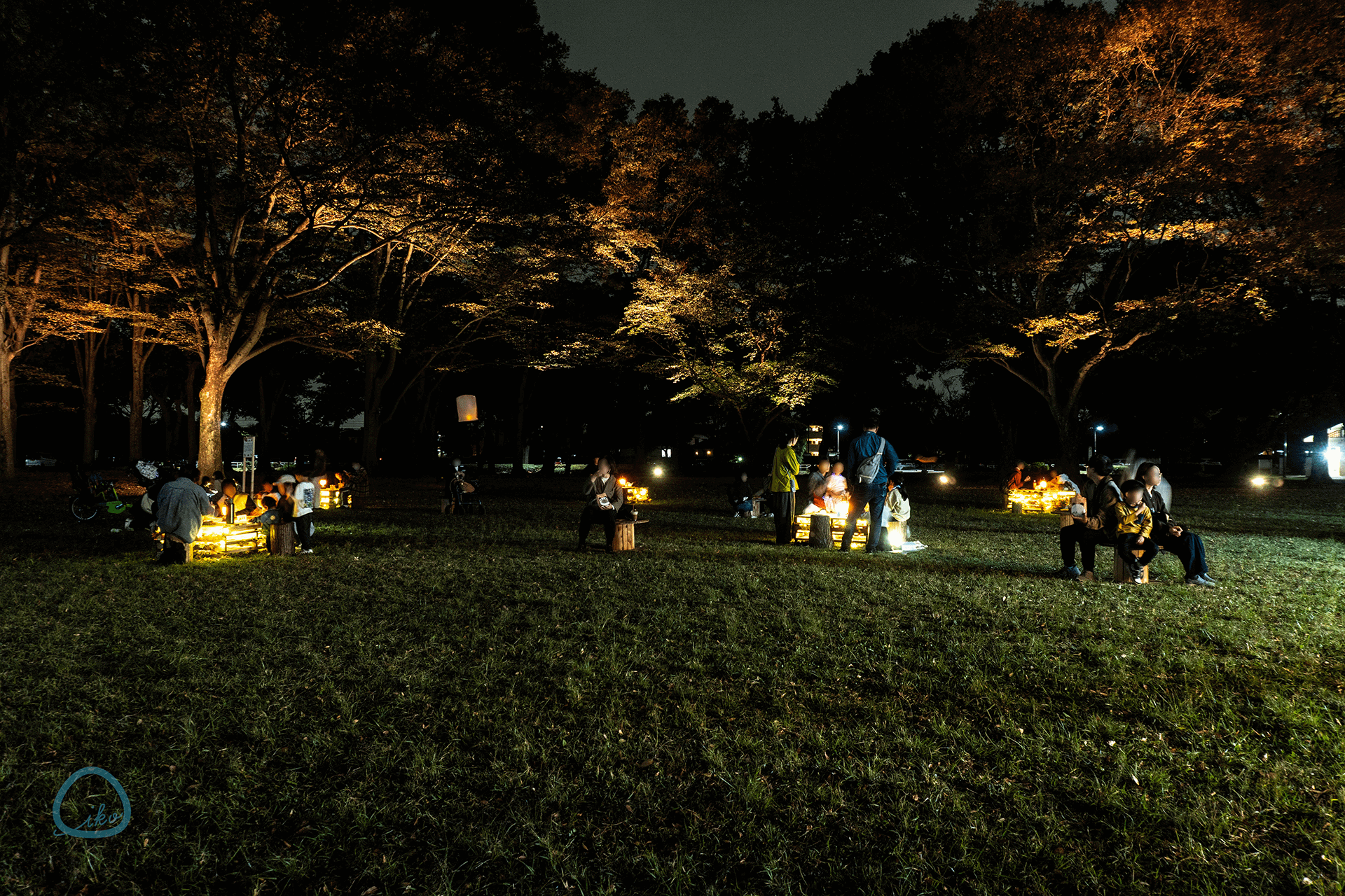 花と光のムーブメント 小金井公園~秋彩ものがたり~ 会場風景